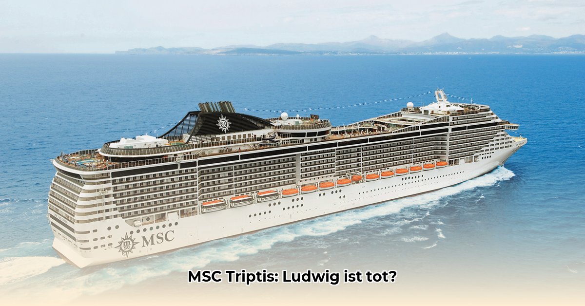 msc-triptis